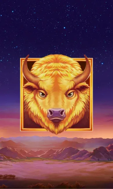 Buffalo's Sun